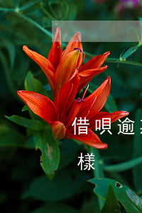 借唄逾期怎么會被起訴(借唄逾期被起訴會怎樣)