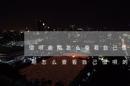 借唄逾期怎么查看自己借唄的利率-借唄逾期怎么查看自己借唄的利率是多少