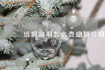 借唄逾期怎么查總額（借唄逾期了怎么看本金）