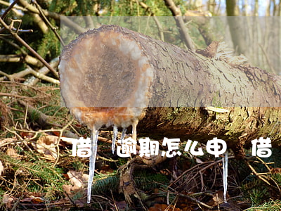 借唄逾期怎么申訴（借唄逾期起訴怎么處理）