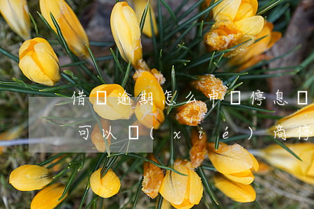 借唄逾期怎么申請停息掛賬(支付寶借唄逾期可以協(xié)商停息掛賬)