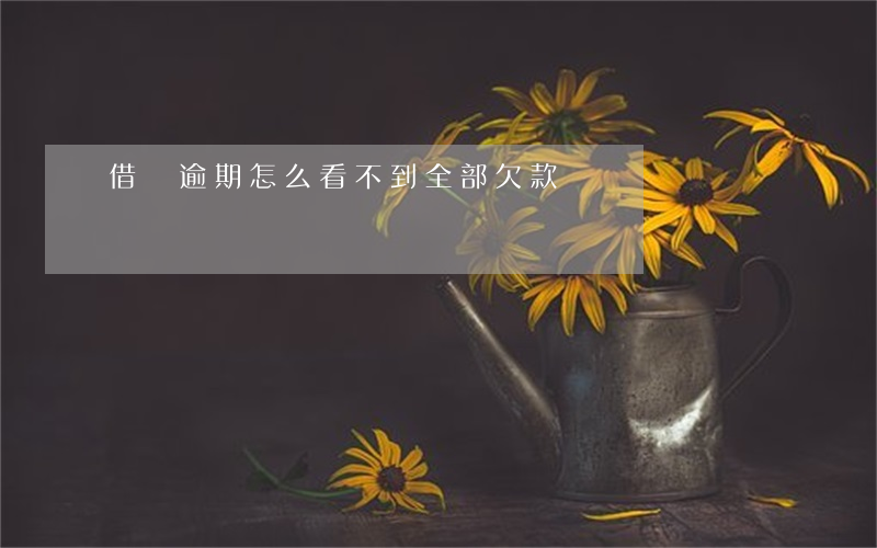 借唄逾期怎么看不到全部欠款
