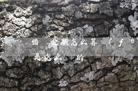 借唄逾期怎么算費(fèi)用的(借唄逾期是怎么樣的)