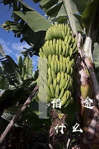 借唄逾期怎么處理方法-借唄逾期的后果是什么