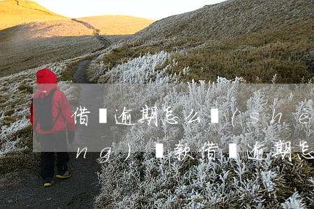 借唄逾期怎么設(shè)置不自動(dòng)還款(借唄逾期怎么設(shè)置不自動(dòng)還款了)