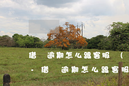 借唄逾期怎么跟客服協(xié)商還本金-借唄逾期怎么跟客服協(xié)商還本金呢