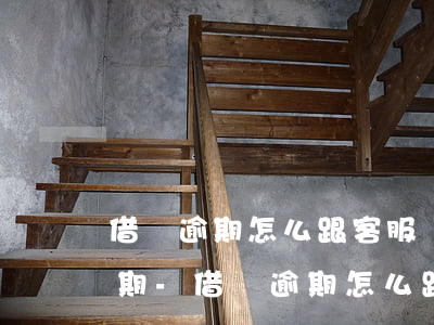 借唄逾期怎么跟客服協(xié)商重新分期-借唄逾期怎么跟客服協(xié)商重新分期還款
