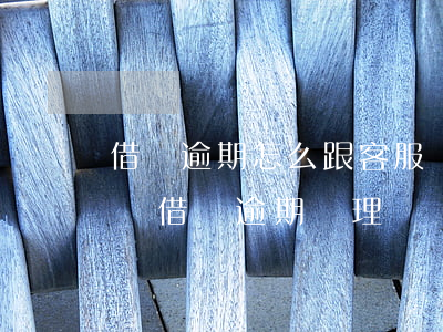 借唄逾期怎么跟客服聯(lián)系(支付寶借唄逾期處理電話)