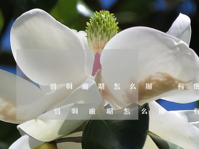 借唄逾期怎么辦沒有償還能力了會起訴嗎-借唄逾期怎么辦沒有償還能力了會起訴嗎
