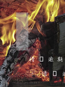 借唄逾期怎么辦沒有償還能力了每月還一點-借唄逾期怎么辦沒有償還能力了每月還一點利息