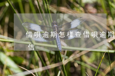 借唄逾期怎樣查(借唄逾期怎么查詢自己的征信)
