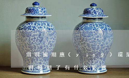 借唄逾期應(yīng)還是一共欠的嗎(借唄逾期了有什么影響沒?)