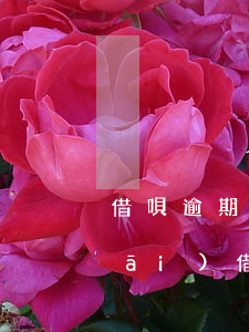 借唄逾期房貸開(kāi)證明怎么開(kāi)(借唄逾期可以辦房貸嗎)