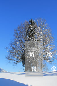 借唄逾期手續(xù)費就是逾期利息嗎-借唄逾期手續(xù)費就是逾期利息嗎怎么算