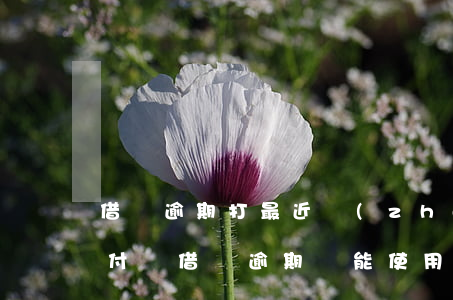 借唄逾期打最近轉(zhuǎn)賬記錄(支付寶借唄逾期還能使用轉(zhuǎn)賬功能嗎)