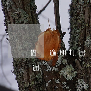 借唄逾期打通訊錄了 借唄逾期多久催款打給通訊錄