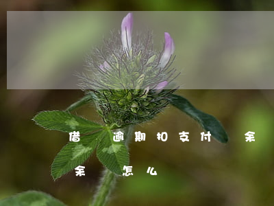 借唄逾期扣支付寶余額-借唄逾期扣支付寶余額怎么辦