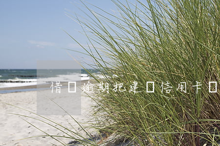 借唄逾期把建設信用卡凍結(jié)了