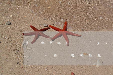 借唄逾期把花唄關(guān)閉有什么影響嗎-借唄逾期把花唄關(guān)閉有什么影響嗎知乎