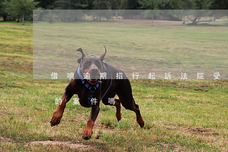 借唄逾期招行起訴(法院受理支付寶借唄逾期的案件嗎)