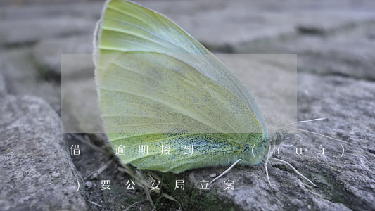 借唄逾期接到電話(huà)說(shuō)要公安局立案