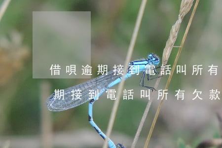 借唄逾期接到電話叫所有欠款還清-借唄逾期接到電話叫所有欠款還清是真的嗎