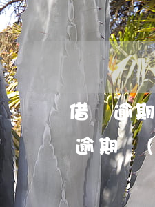 借唄逾期提交到風(fēng)控部門(借唄逾期發(fā)來催款函)