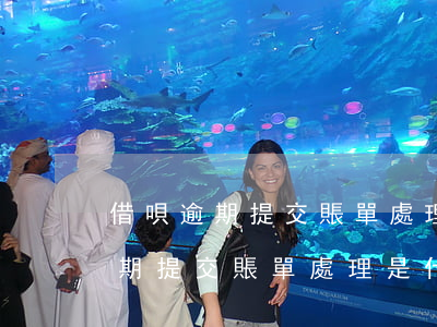 借唄逾期提交賬單處理是什么意思-借唄逾期提交賬單處理是什么意思啊