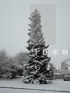 借唄逾期提前收回全部欠款(借唄逾期了剩下的要提前還嗎)