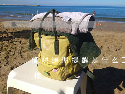 借唄逾期提醒是什么工作(借唄逾期顯示什么樣)