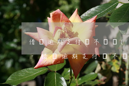借唄逾期支付寶不給協(xié)商怎么辦-借唄逾期支付寶不給協(xié)商怎么辦呢