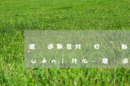 借唄逾期支付寶打電話都會(huì)問(wèn)什么-借唄逾期支付寶打電話都會(huì)問(wèn)什么問(wèn)題