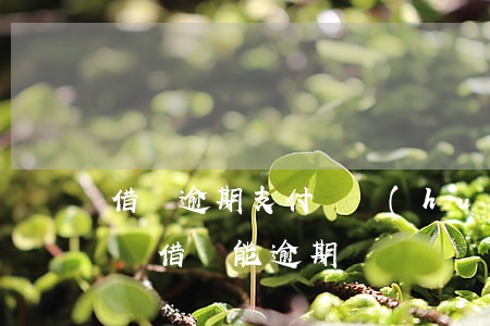 借唄逾期支付寶會(huì)怎么處理(支付寶借唄能逾期嗎)