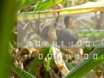 借唄逾期支付寶會(huì)關(guān)閉嗎 逾期借唄關(guān)閉了