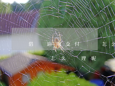 借唄逾期支付寶會怎么處理-借唄逾期支付寶會怎么處理呢
