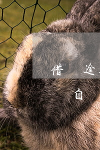 借唄逾期支付寶銀行卡扣款(支付寶借唄逾期會自動從銀行卡扣款嗎)