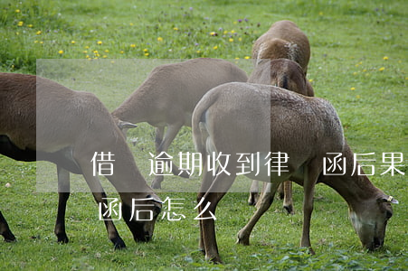 借唄逾期收到律師函后果 借唄逾期收到律師函后怎么辦