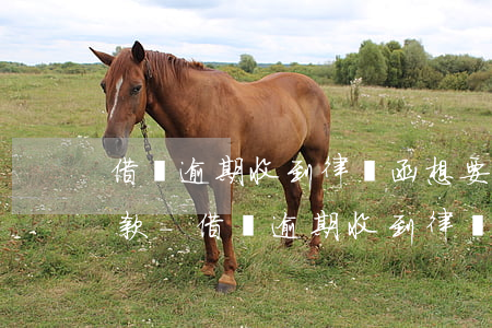 借唄逾期收到律師函想要協(xié)商還款-借唄逾期收到律師函想要協(xié)商還款怎么辦