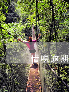 借唄逾期收到律師函應該怎么處理