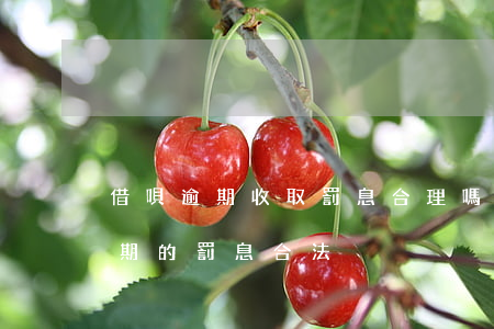 借唄逾期收取罰息合理嗎(支付寶花唄借唄逾期的罰息合法)