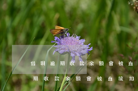 借唄逾期收款余額會被直接扣除么-借唄逾期收款余額會被直接扣除么嗎