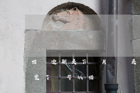 借唄逾期是下個月還還是怎么樣(借唄逾期還完了還可以借嗎)
