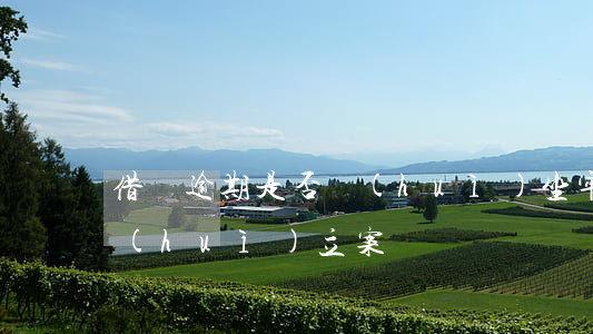 借唄逾期是否會(huì)坐牢(借唄逾期會(huì)立案嗎)