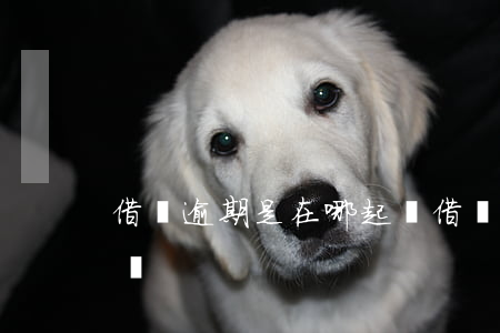 借唄逾期是在哪起訴(借唄欠款逾期會被起訴嗎)