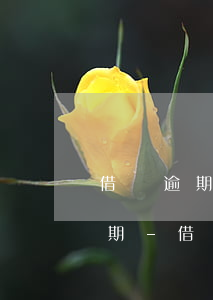 借唄逾期是按照本金收費(fèi)還是分期-借唄逾期是按照本金收費(fèi)還是分期還款