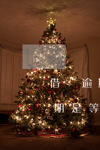 借唄逾期是等電話還是主動找客服-借唄逾期是等電話還是主動找客服協(xié)商