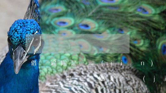 借唄逾期是銀監(jiān)會負責債務重組嗎-借唄逾期是銀監(jiān)會負責債務重組嗎是真的嗎