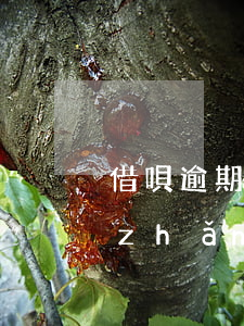 借唄逾期時(shí)間過(guò)長(zhǎng)會(huì)有什么后果-借唄逾期時(shí)間過(guò)長(zhǎng)會(huì)有什么后果嗎