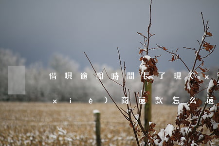 借唄逾期時間長了現(xiàn)在想協(xié)商還款怎么還-借唄逾期時間長了現(xiàn)在想協(xié)商還款怎么還款