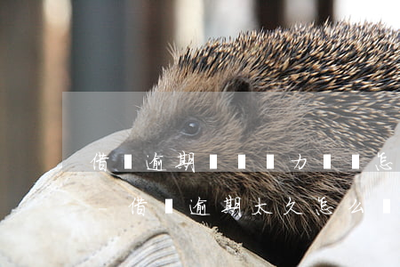 借唄逾期暫時無力償還怎么協(xié)商-借唄逾期太久怎么協(xié)商